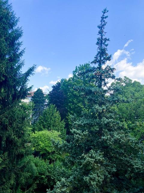 s Ausblick Garten - 1130 Wien/Althietzing: Schöne Wohnung mit Balkon - beste Hietzinger Lage - ruhig und hell - Blick ins Grüne